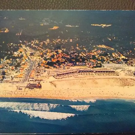 בית נופש Promo Maisonnette Donnant Sur La Pinede