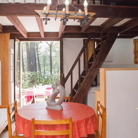 Promo Maisonnette Donnant Sur La Pinede *