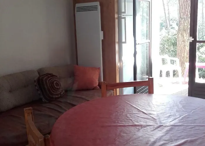 Promo Maisonnette Donnant Sur La Pinede בית נופש *